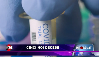 Cinci noi decese