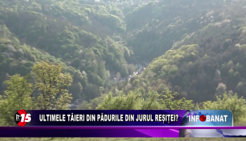 Ultimele tăieri din pădurile din jurul Reșiței