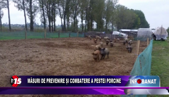 Măsuri de prevenire și combatere a pestei porcine