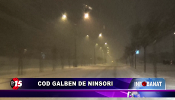 Cod galben de ninsori