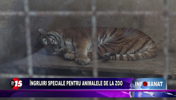 Îngrijiri speciale pentru animalele de la Zoo