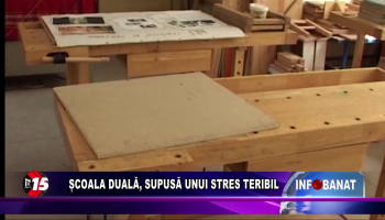 Școala duală, supusă unui stres teribil