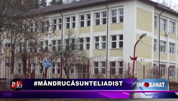 #mândrucăsunteliadist