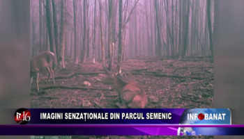 Imagini senzaționale din Parcul Semenic