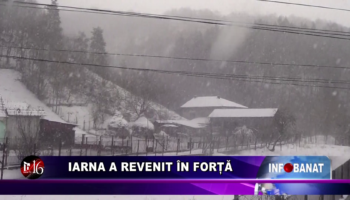 Iarna a revenit în forță