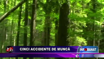 Cinci accidente de muncă