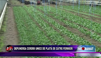 Depunere cererii unice de plată de către fermieri