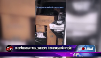 3 grupări infracționale implicate în contrabandă cu țigări