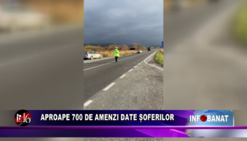 Aproape 700 de amenzi date șoferilor