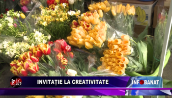 Invitație la creativitate