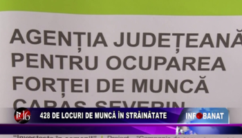 428 de locuri de muncă în străinătate