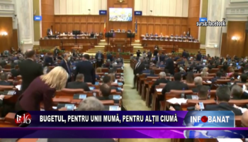 Bugetul, pentru unii mumă, pentru alții ciumă