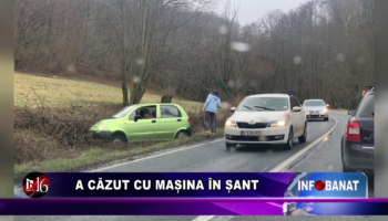 A căzut cu mașina în șanț