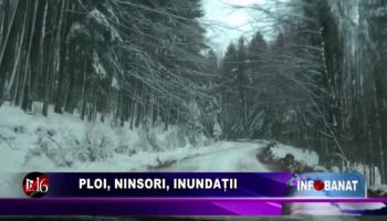 Ploi, ninsori, inundații