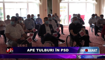 Ape tulburi în PSD