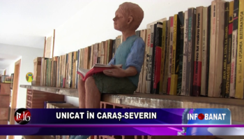 Unicat în Caraș-Severin