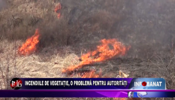 Incendiile de vegetație, o problemă pentru autorități