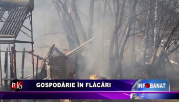 Gospodărie în flăcări