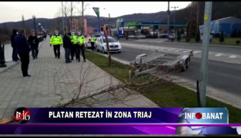 Platan retezat în zona Triaj