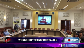 Workshop transfrontalier