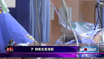 7 decese