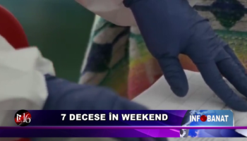 7 decese în weekend