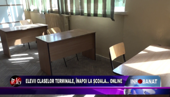 Elevii claselor terminale, înapoi la școala…    online