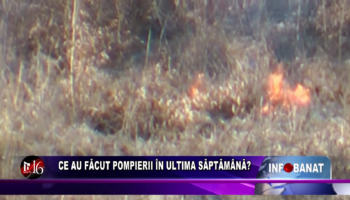 Ce au făcut pompierii în ultima săptămână?