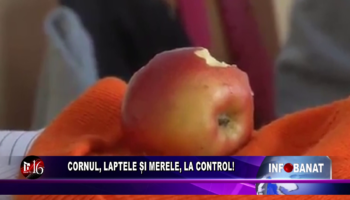 Cornul, laptele și merele, la control!