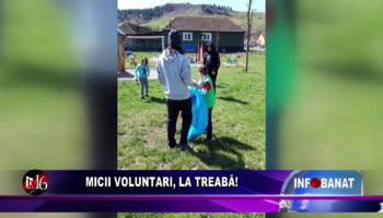 Micii voluntari, la treabă!