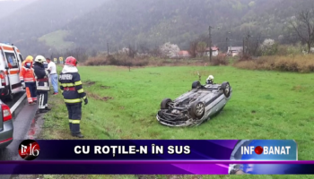 Cu roțile-n în sus