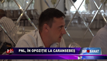 PNL, în opoziție la Caransebeș