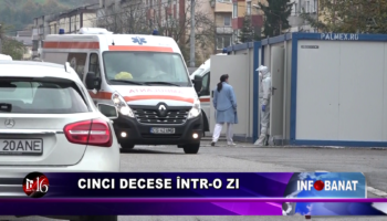 Cinci decese într-o zi