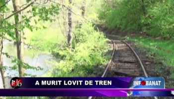 A murit lovit de tren