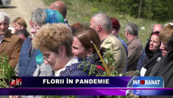 Florii în pandemie