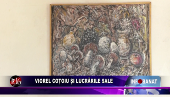 Viorelul Coțoiu și lucrările sale