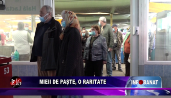 Mieii de Paște, o raritate