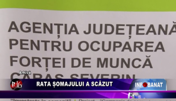 Rata șomajului a scăzut