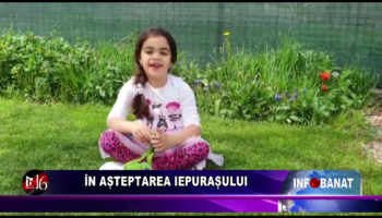 În așteptarea iepurașului