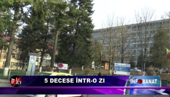 5 decese într-o zi