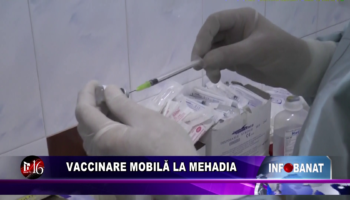 Vaccinare mobilă la Mehadia
