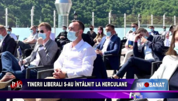 Tinerii liberali s-au întâlnit la Herculane