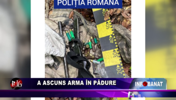 A ascuns arma în pădure