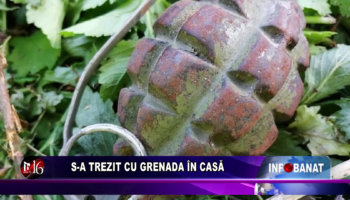 S-a trezit cu grenada în casă