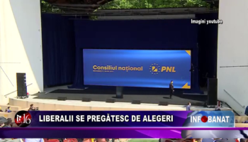 Liberalii se pregătesc de alegeri