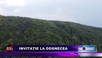 Invitație la Dognecea