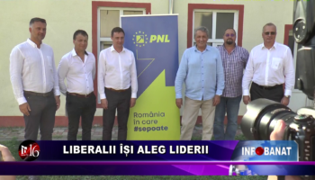 Liberalii își aleg liderii