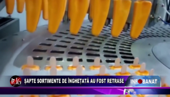 Șapte sortimente de înghețată au fost retrase