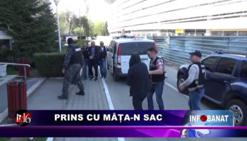 Prins cu mâța-n sac