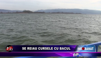 Se reiau cursele cu bacul